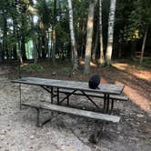 Review photo of Daisy Field Campground — Potawatomi State Park by Jennifer S., September 19, 2018