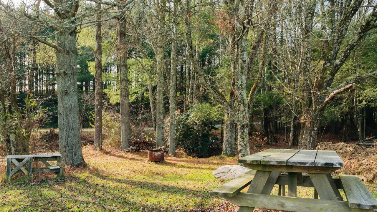 Silas Creek Landing | Glade Valley, NC