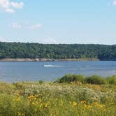 Review photo of Berry Bend by Lauri C., September 19, 2018