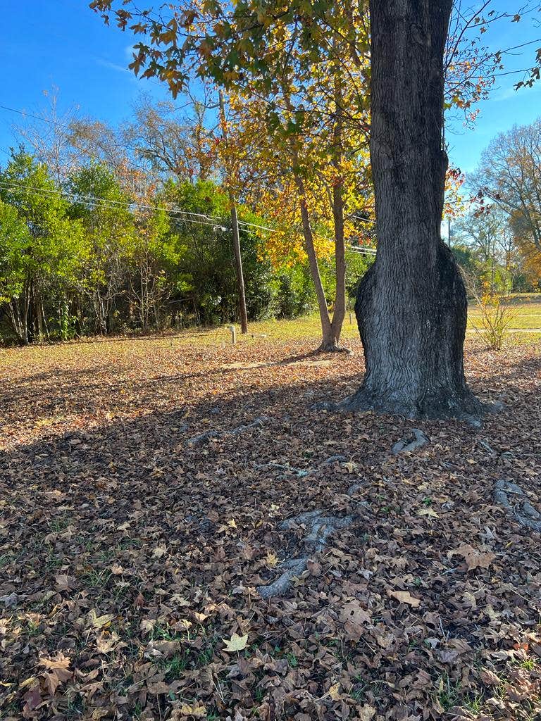 Camper-submitted photo at Buckaroo Campground and Rv Park near Marion Junction, AL