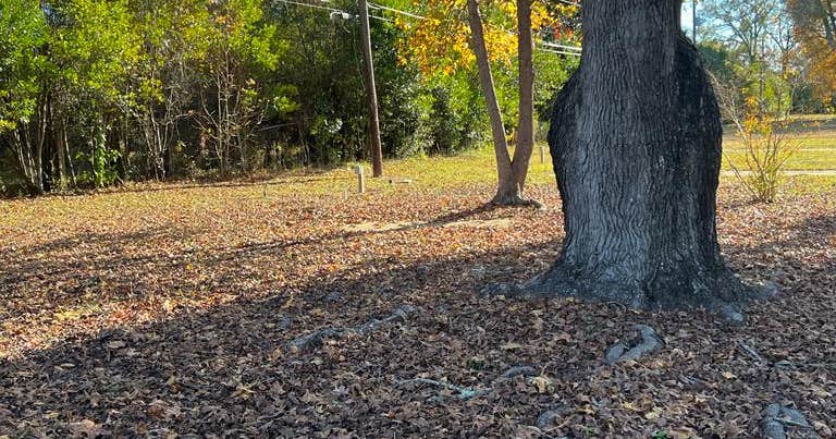 Buckaroo Campground and Rv Park