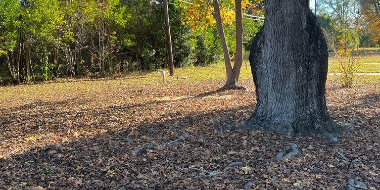 Camper submitted image from Buckaroo Campground and Rv Park