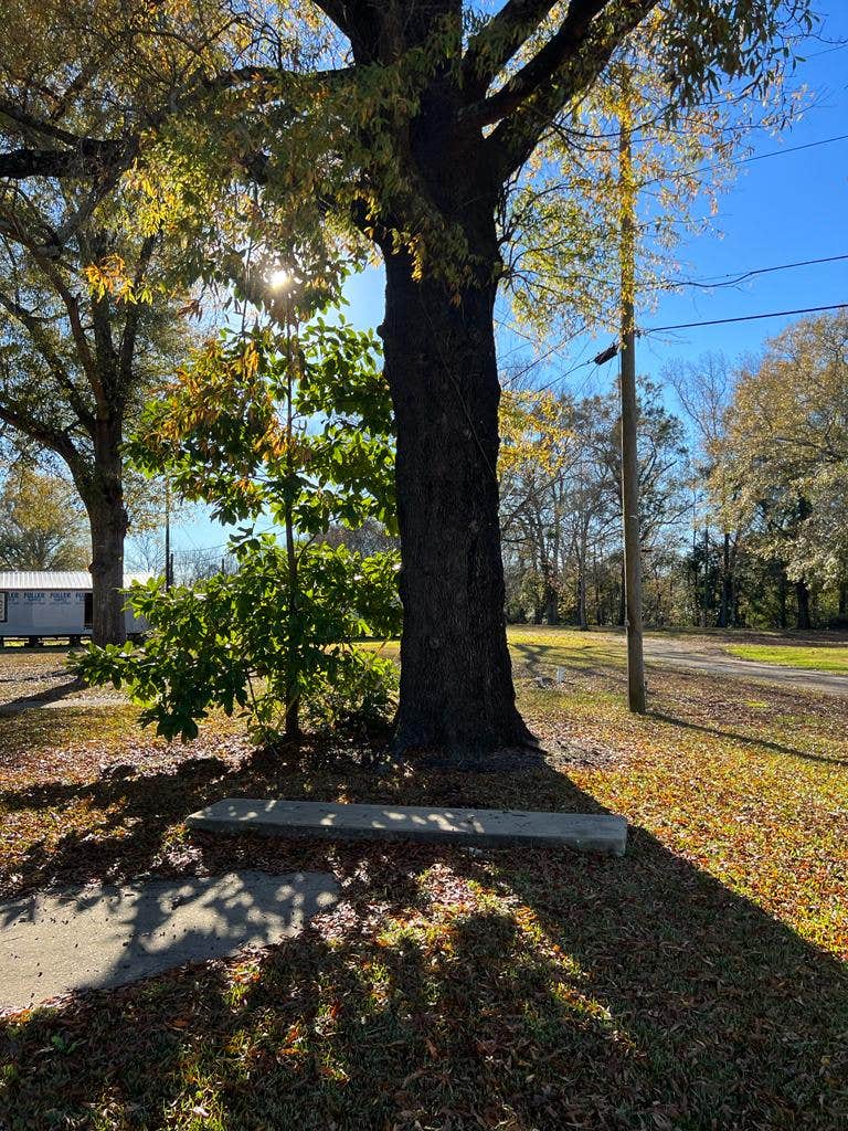 Buckaroo Campground and Rv Park Selma, AL