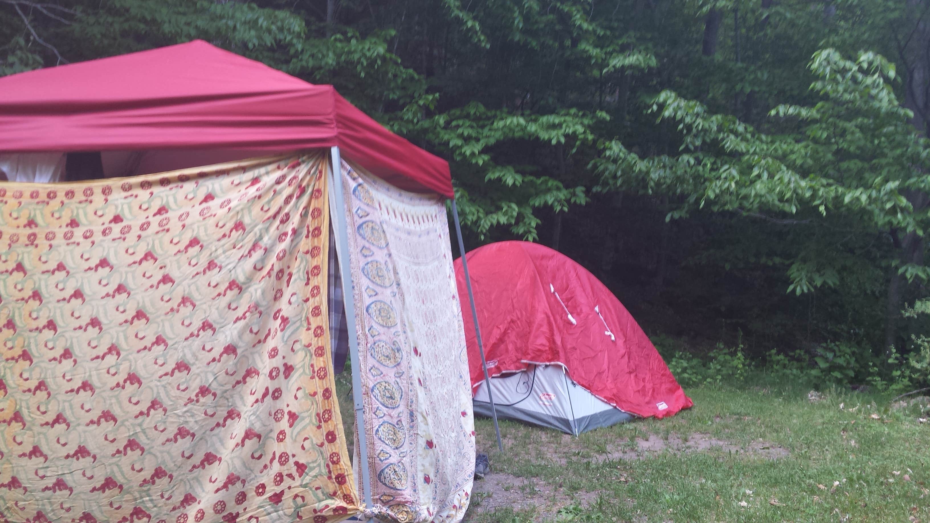 Camper submitted image from Woodland Valley Campground — DEC - 4