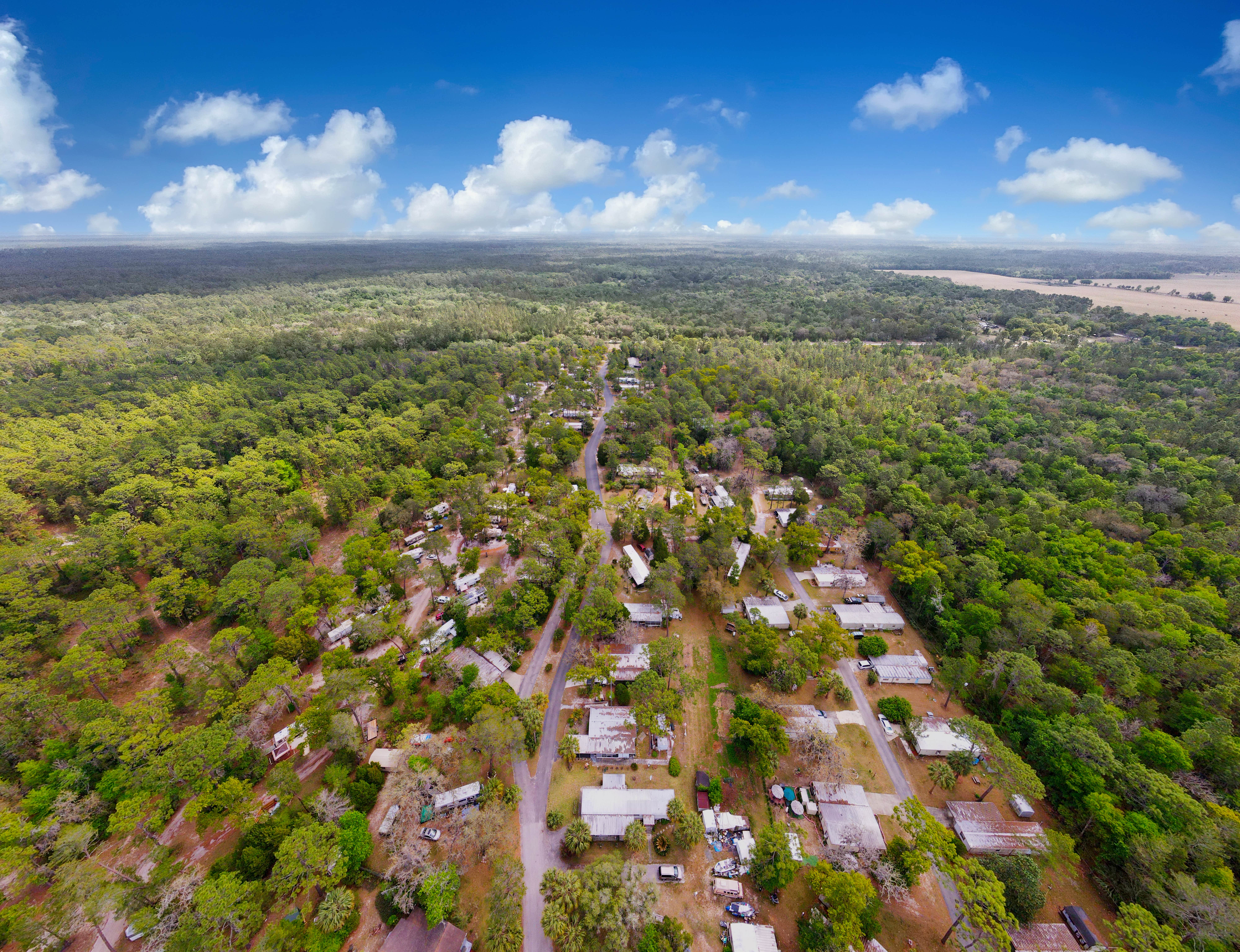 Camper-submitted photo at Village Pines Campground near Gulf Hammock, FL