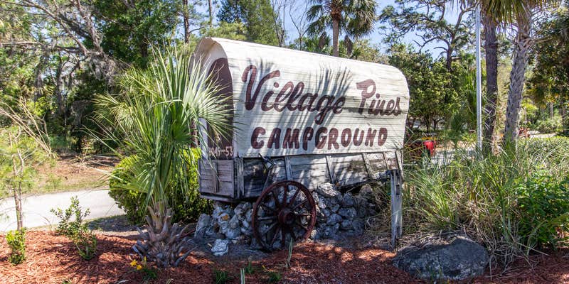 Camper submitted image from Village Pines Campground