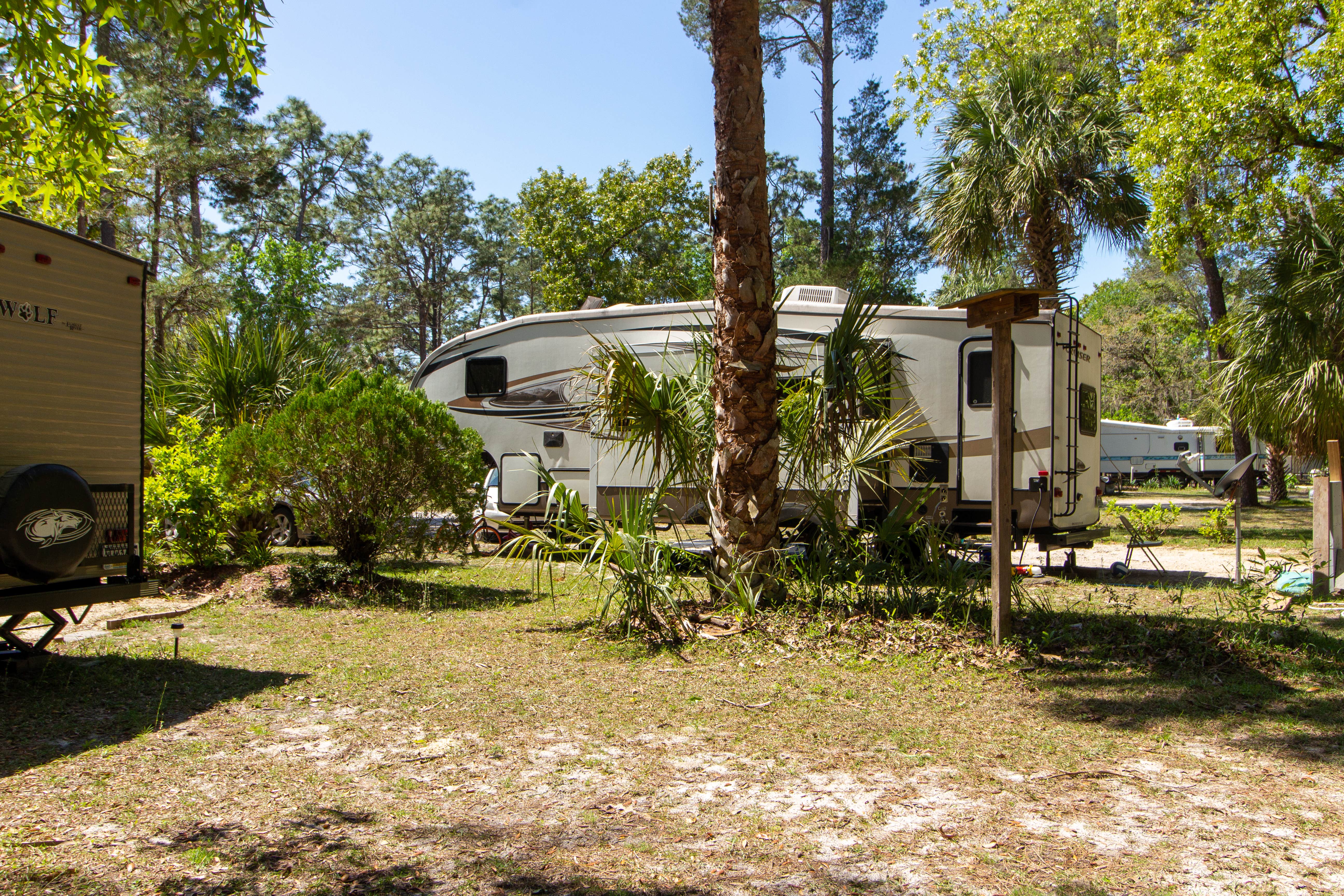 Camper-submitted photo at Village Pines Campground near Gulf Hammock, FL