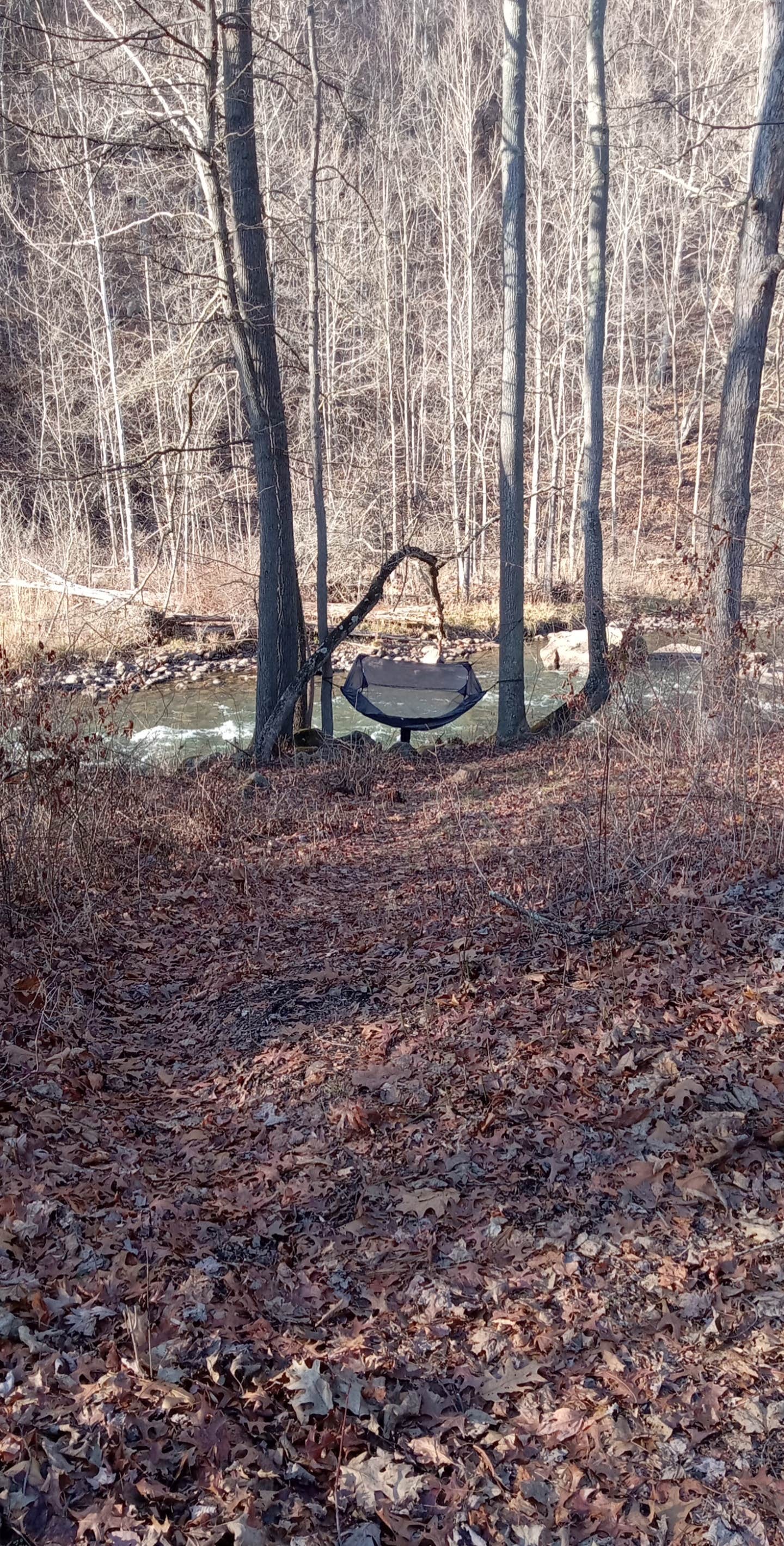 Camper-submitted photo at Barnum Whitewater Area near Kitzmiller, MD