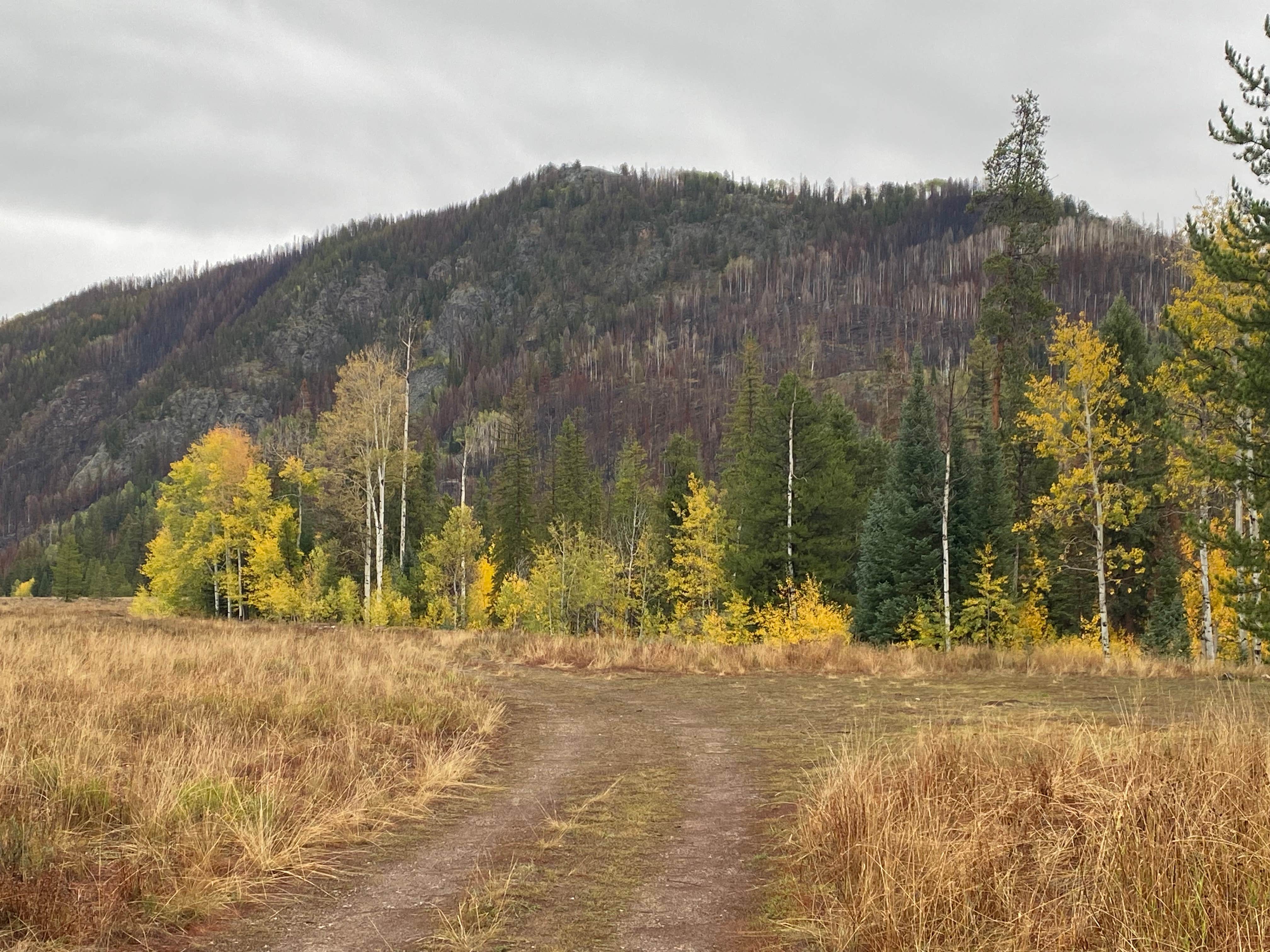 Camper submitted image from Elk River Dispersed - 3