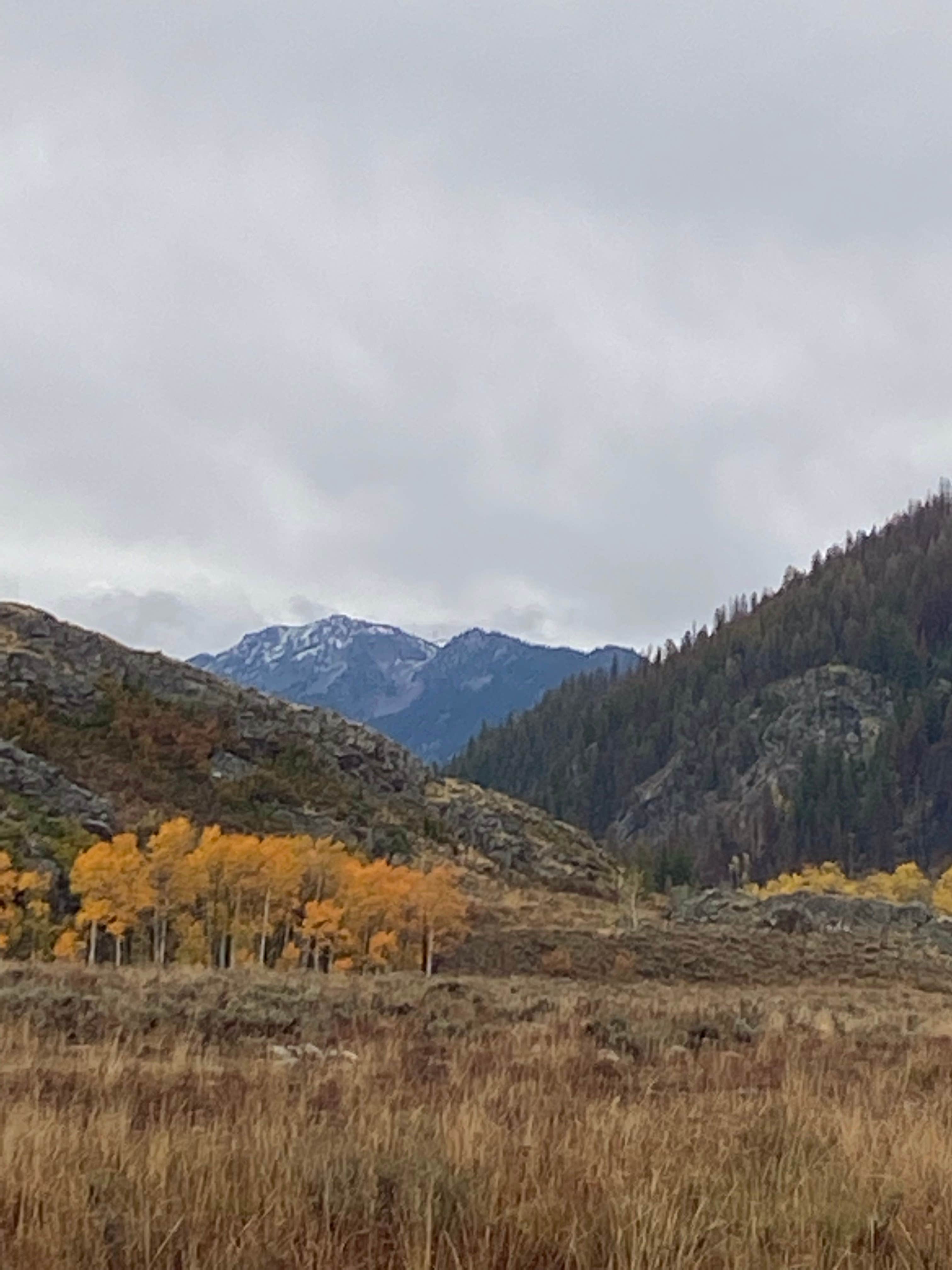 Camper-submitted photo at Elk River Dispersed near Clark, CO
