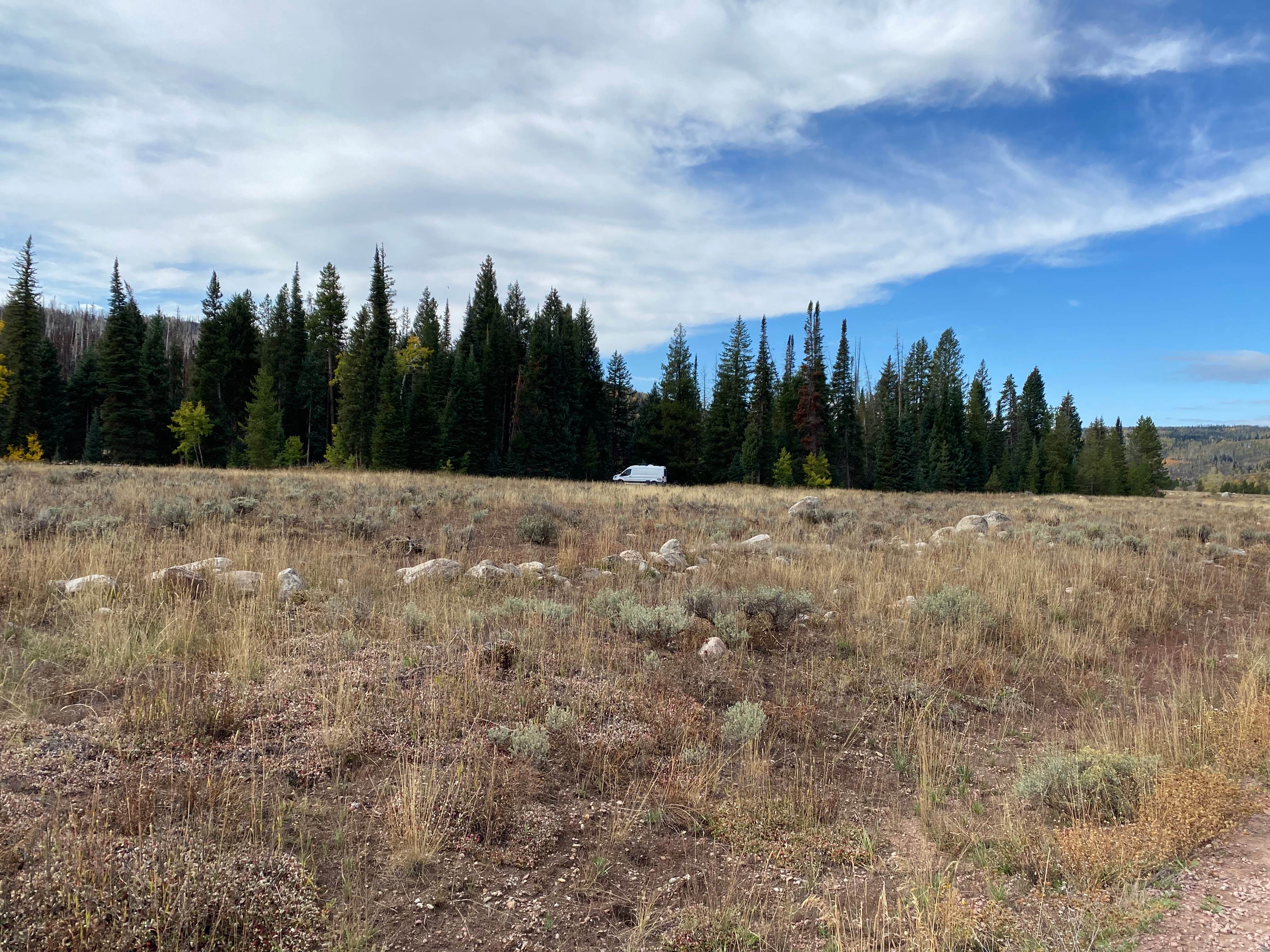Camper-submitted photo at Elk River Dispersed near Clark, CO