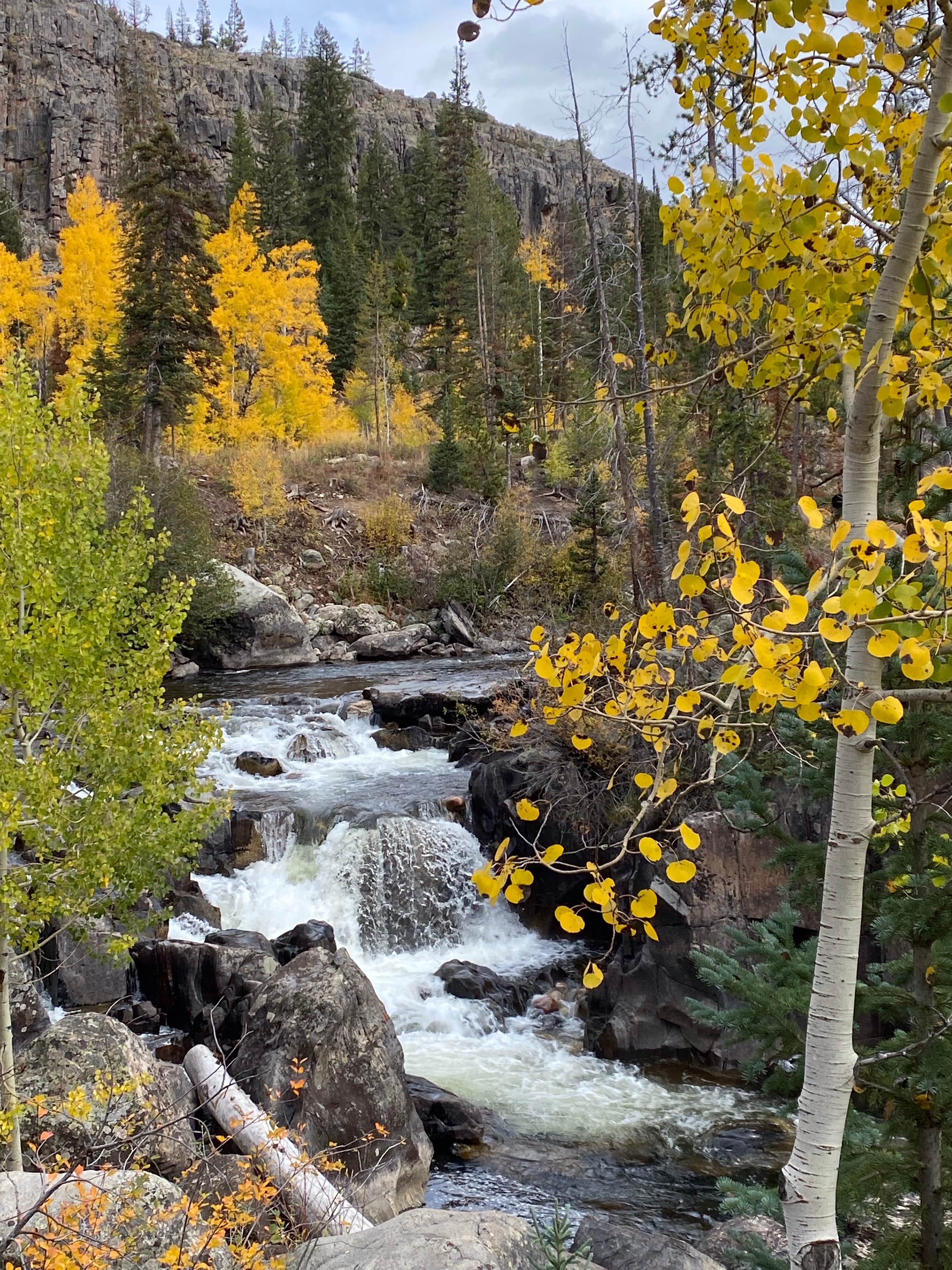Camper-submitted photo at Elk River Dispersed near Clark, CO
