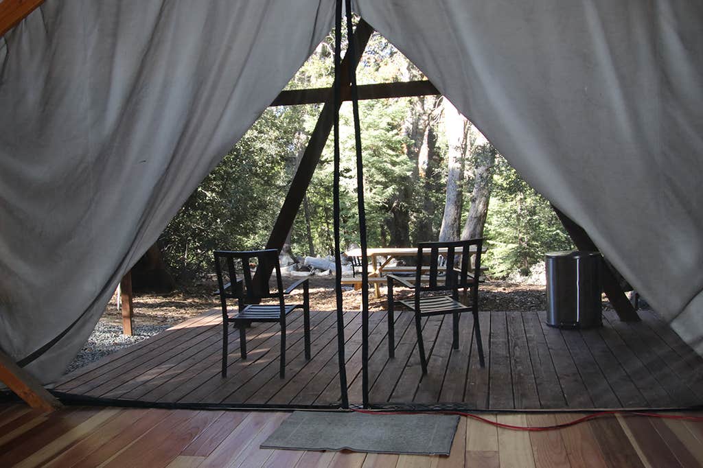 Tom M.'s photo at Bailey's on Palomar near Pauma Valley, CA