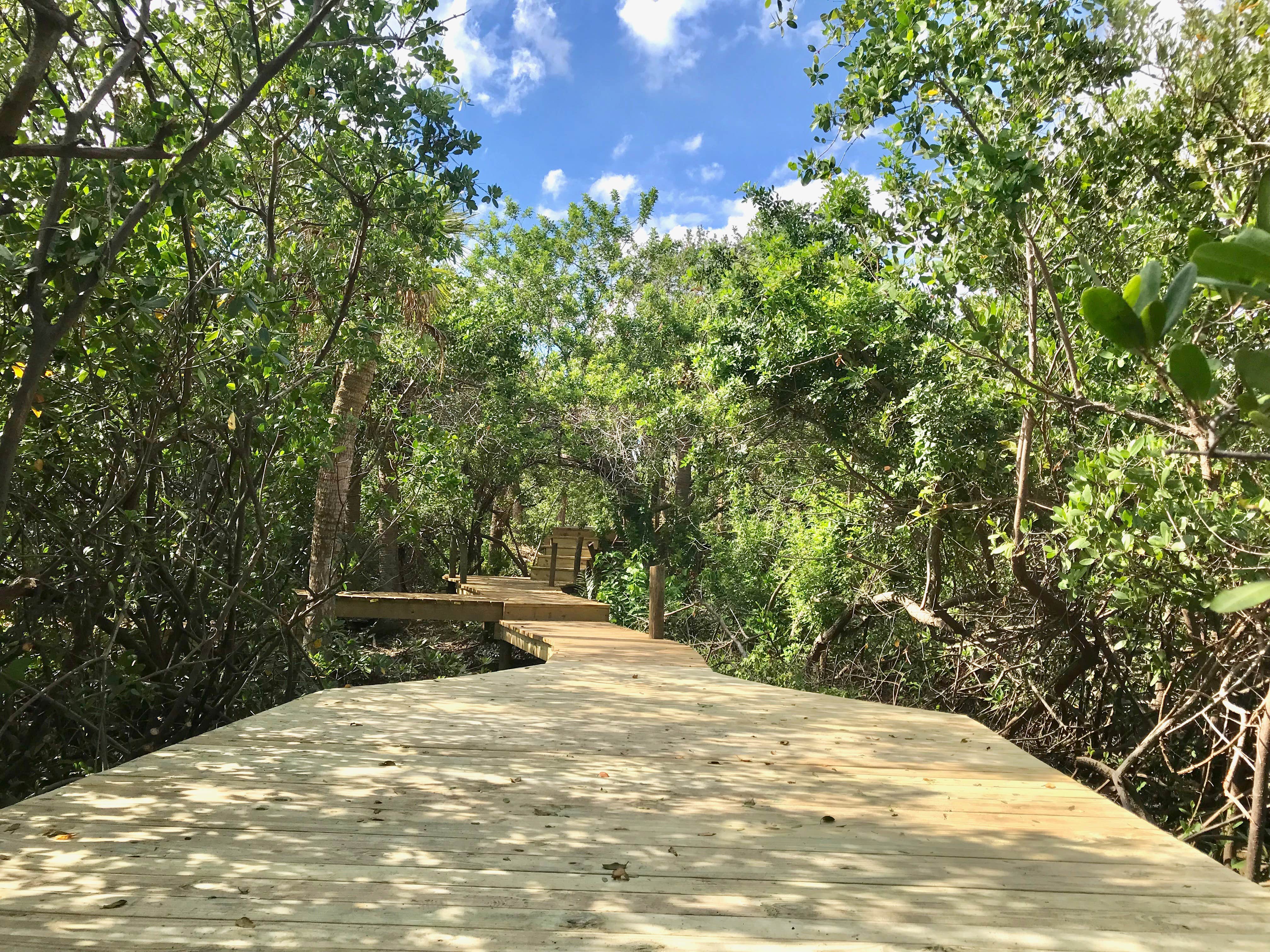 Camper-submitted photo at Island Retreat Florida near Riverview, FL
