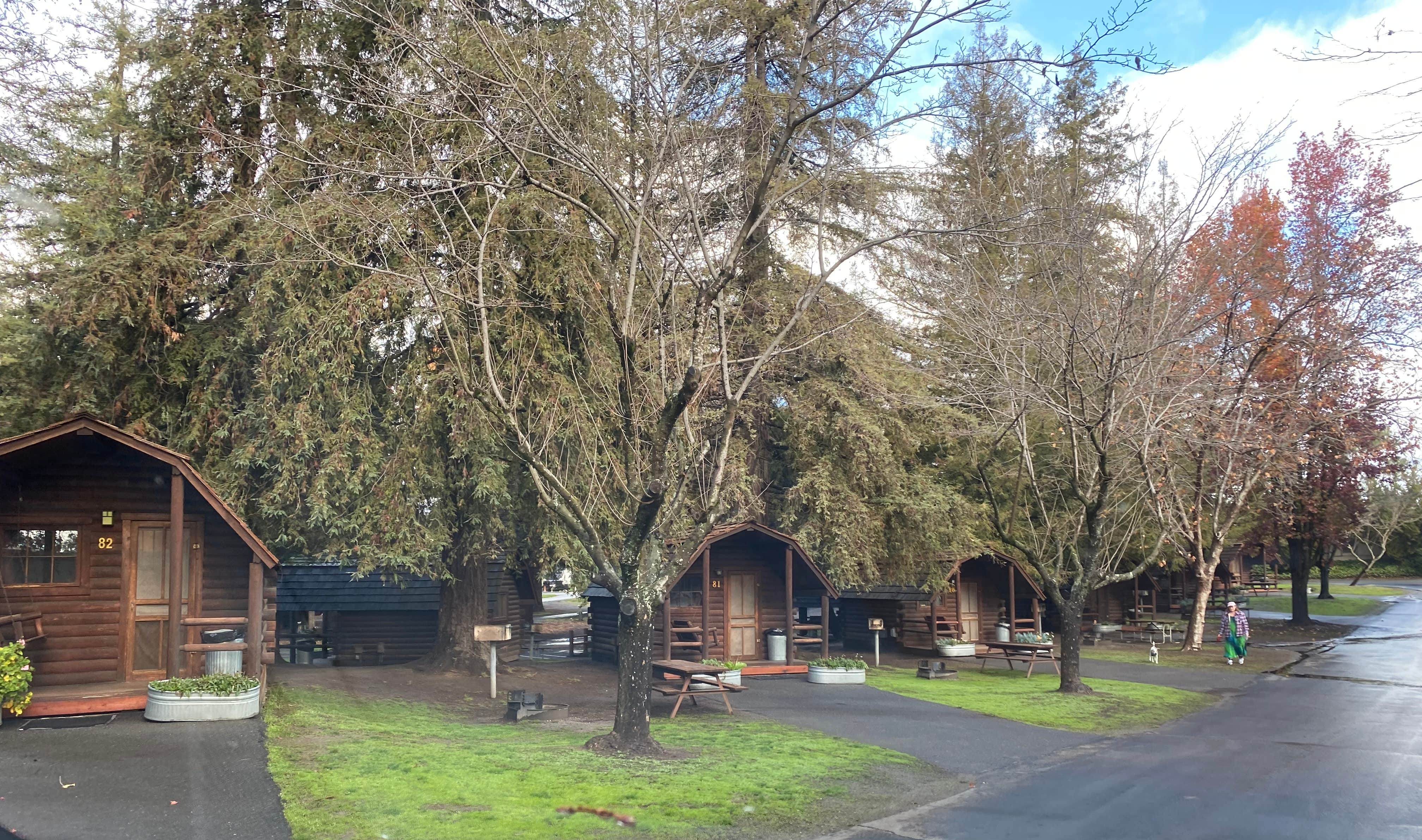 Missy C.'s photo of a cabin at San Francisco North-Petaluma KOA near Pittsburg, CA