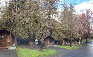 Missy C.'s photo of a cabin at San Francisco North-Petaluma KOA near Petaluma, CA
