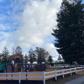 Review photo of San Francisco North-Petaluma KOA by Missy C., December 6, 2022