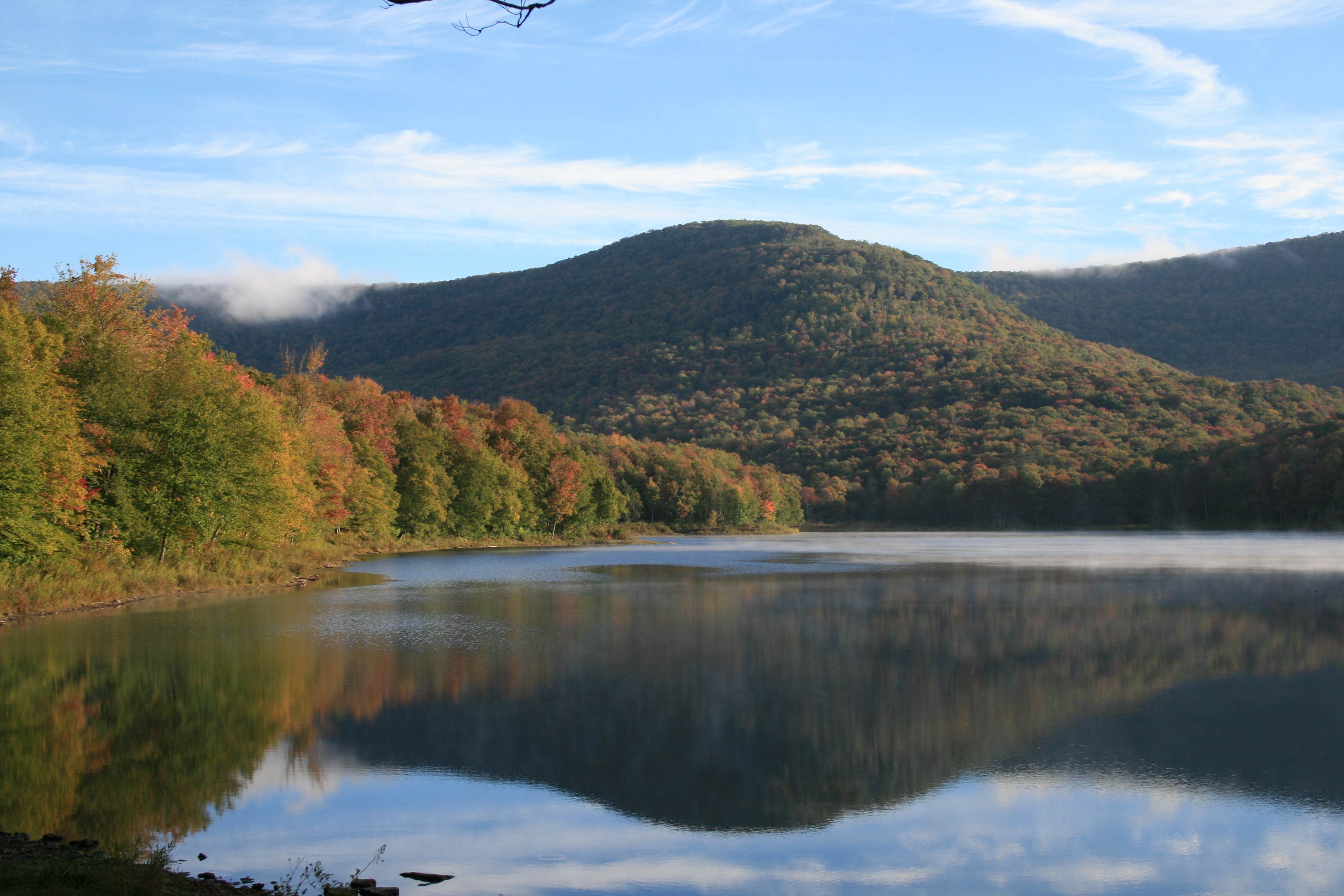 Camper submitted image from Little Pond - DEC - 4