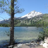 Review photo of Jenny Lake Campground — Grand Teton National Park by Michael K., September 19, 2018