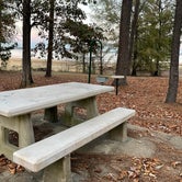 Amenities include a large concrete picnic table, bbq grill, fire pit, lantern hook, and food prep table
