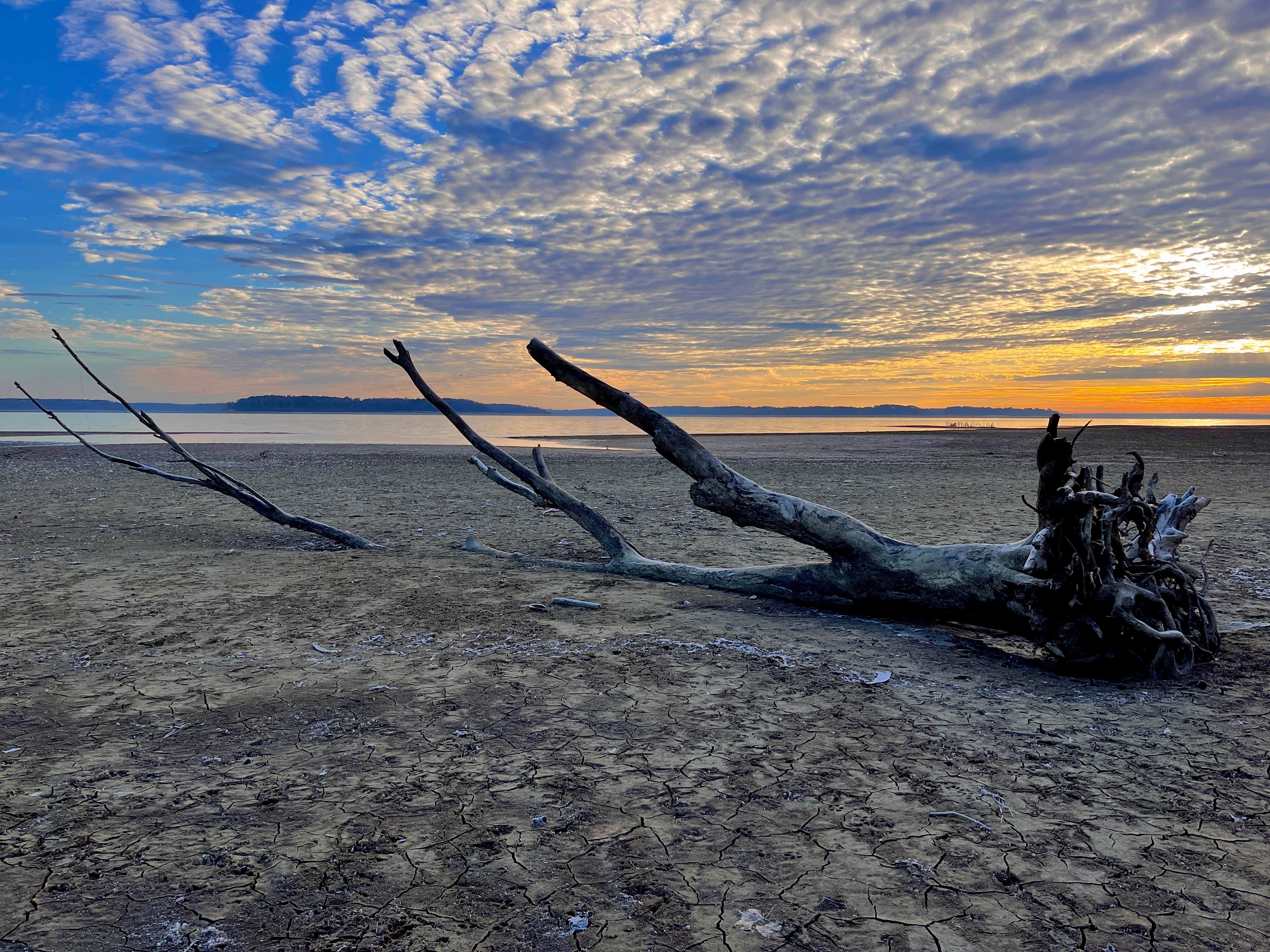 Camper-submitted photo at South Abutment Recreation Area near Robinsonville, MS