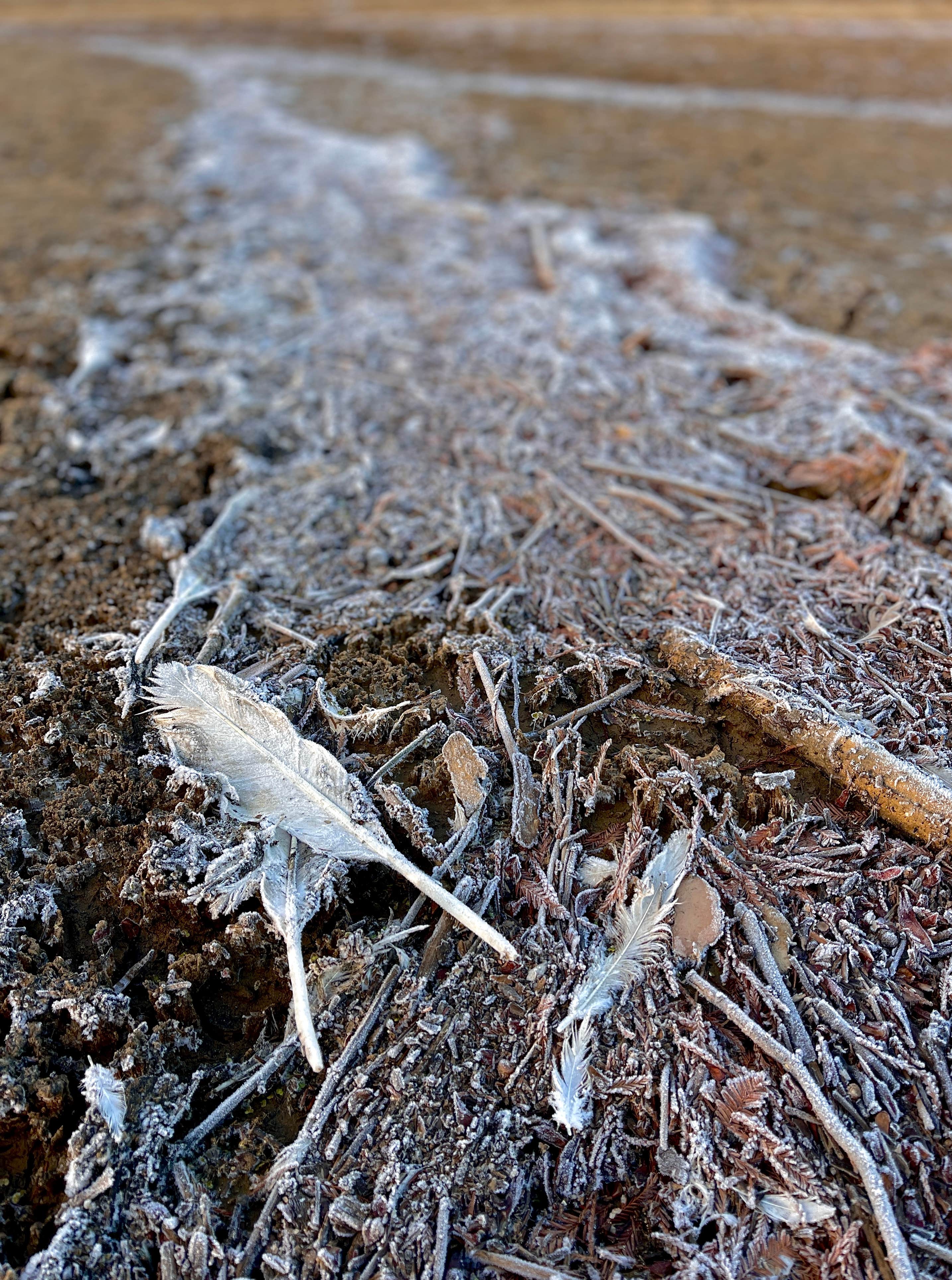 Camper-submitted photo at South Abutment Recreation Area near Robinsonville, MS