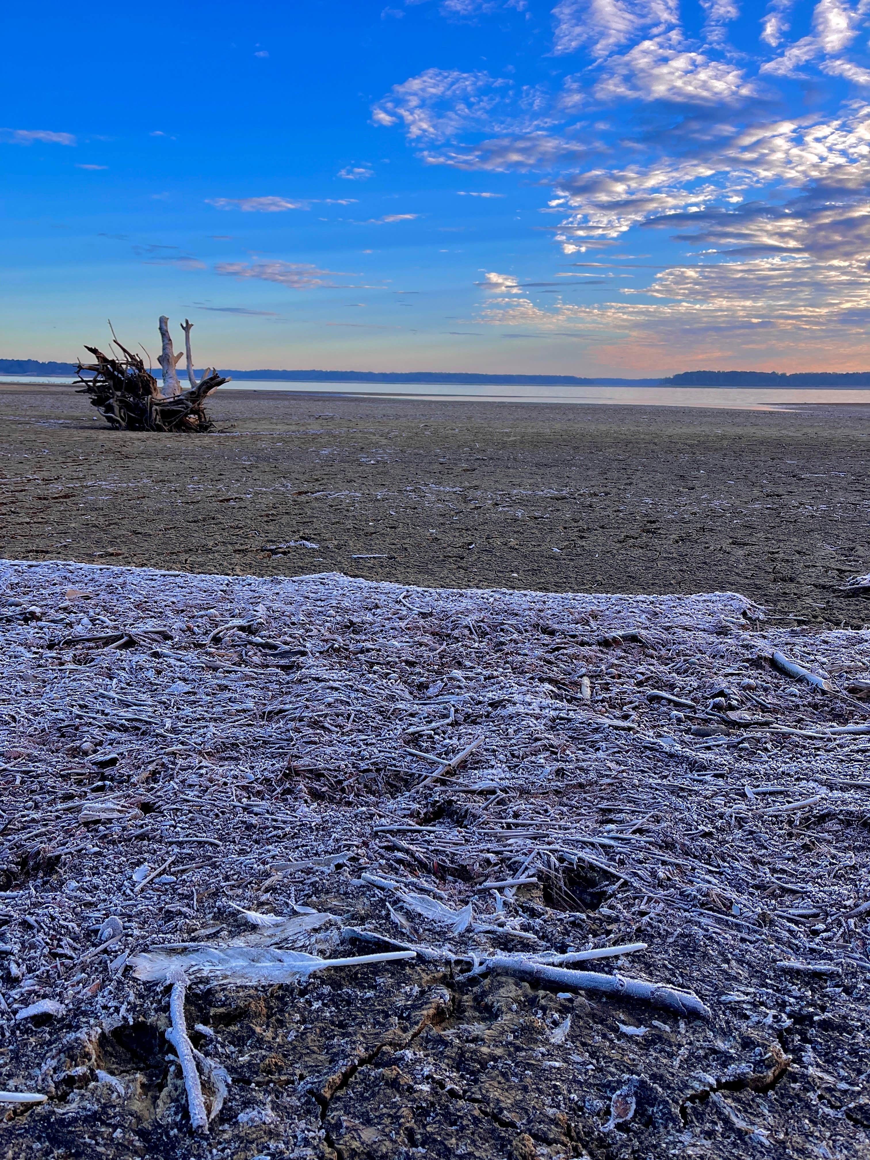 Camper-submitted photo at South Abutment Recreation Area near Robinsonville, MS