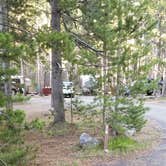 Review photo of Canyon Campground — Yellowstone National Park by Michael K., September 19, 2018