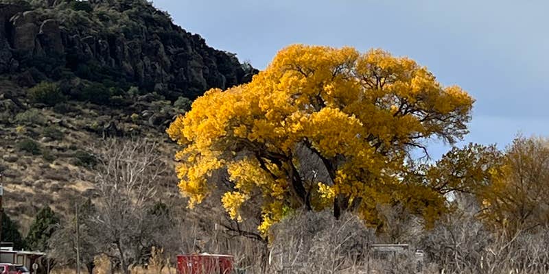 Camper submitted image from Fort Davis Inn & RV Park