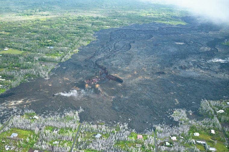 Camper-submitted photo at Permaculture Paradise: Tropical Escape near Hawaii Volcanoes National Park