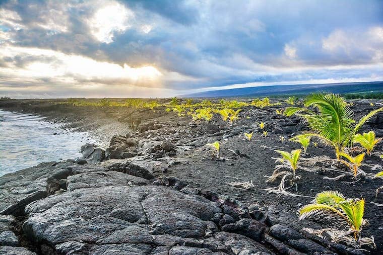 Camper-submitted photo at Permaculture Paradise: Tropical Escape near Hawaii Volcanoes National Park