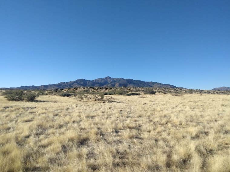 Camping near Aquarius Lounge: Experience Arizona Agritourism: Permaculture Paradise: Mountain View, Kingman, Arizona