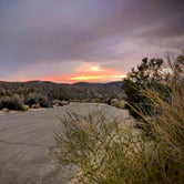 Review photo of Cottonwood Campground — Joshua Tree National Park by Jonathan D., December 7, 2022
