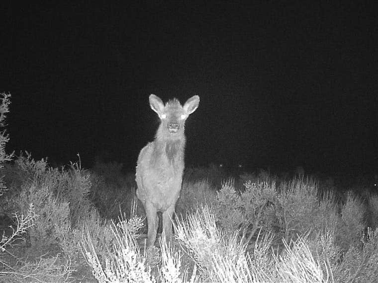 Camper-submitted photo at Permaculture Paradise: Ranchette near Bonanza, UT
