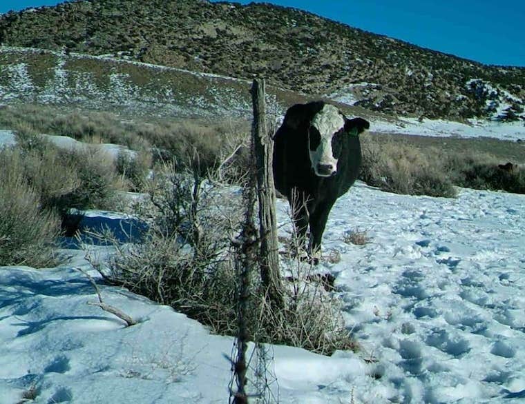 Camper-submitted photo at Permaculture Paradise: Ranchette near Bonanza, UT