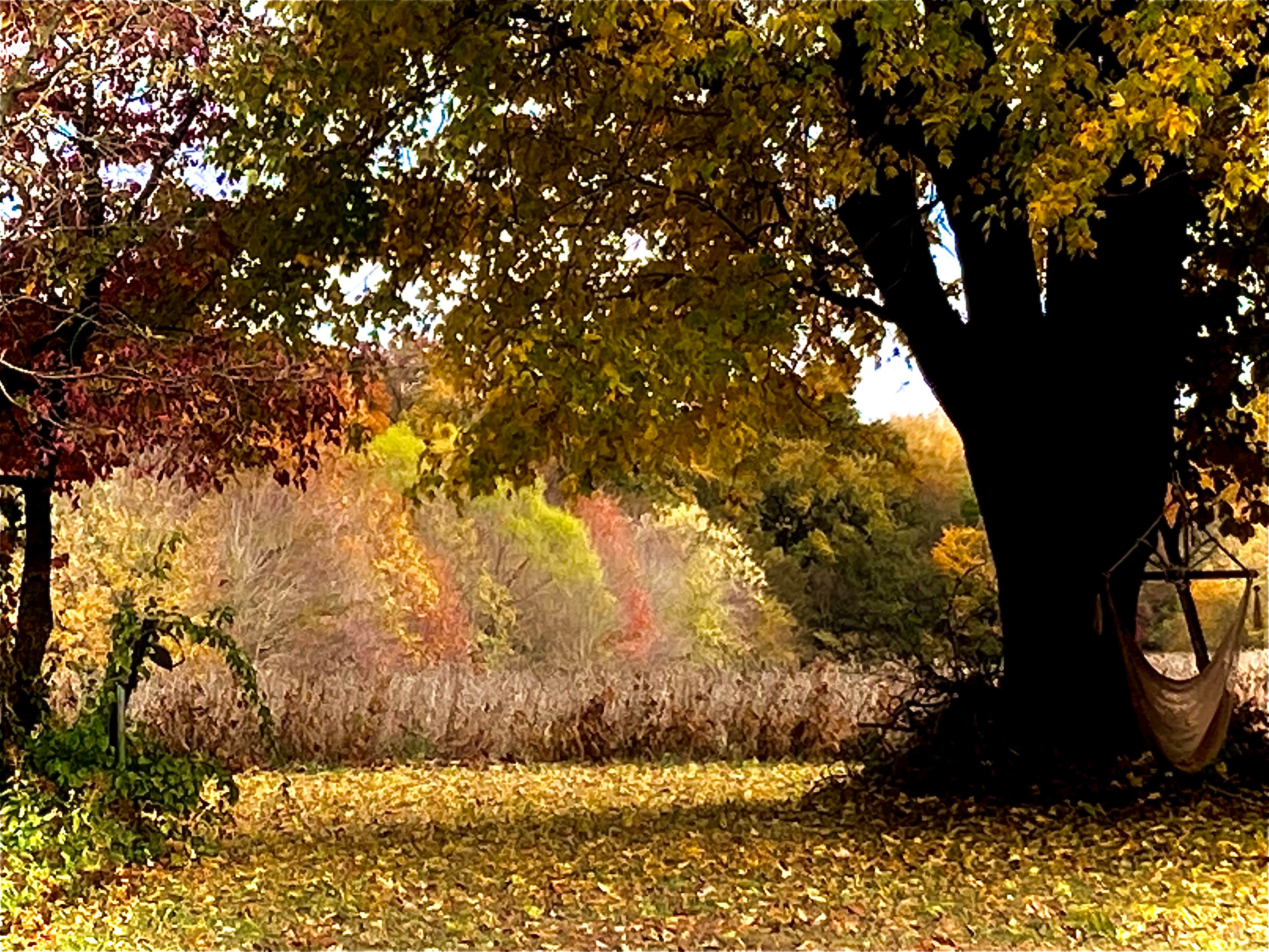 Camper-submitted photo at The Art Farm Women’s Retreat near Paducah, KY