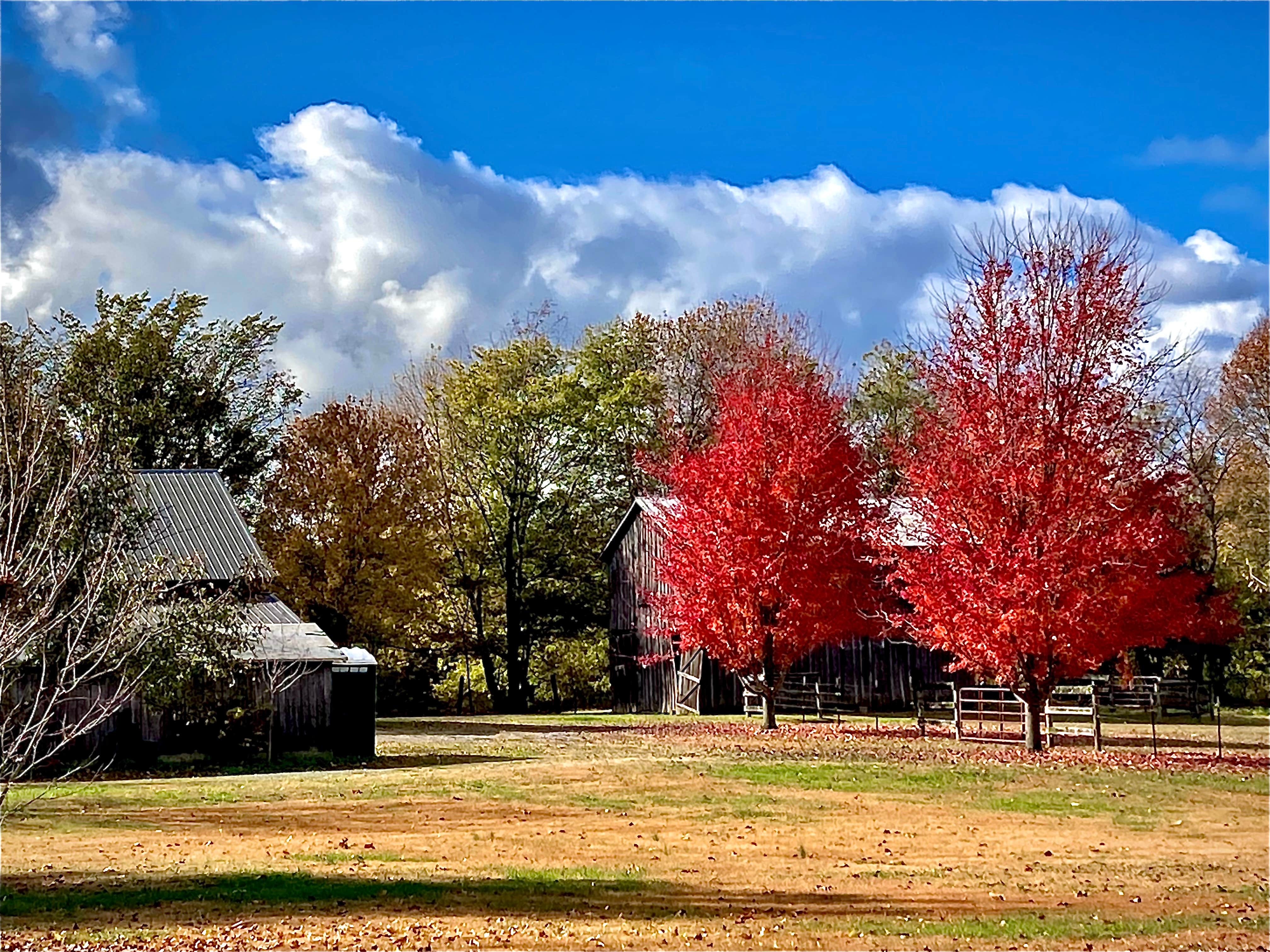 Camper-submitted photo at The Art Farm Women’s Retreat near Paducah, KY