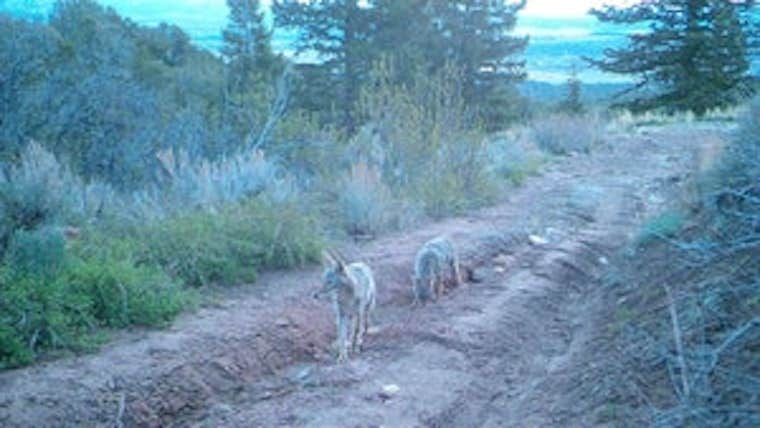 Camper submitted image from Permaculture Paradise: Homestead - 2