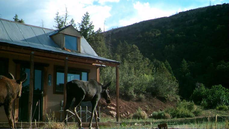 Camper-submitted photo at Permaculture Paradise: Homestead near Fruitland, UT