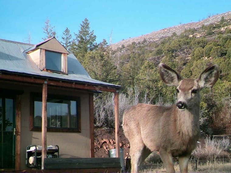 Camper submitted image from Permaculture Paradise: Homestead - 1