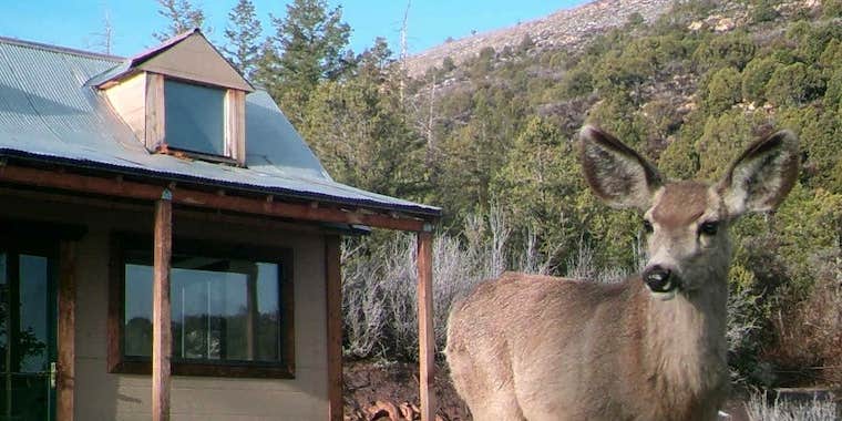 Camper submitted image from Permaculture Paradise: Homestead