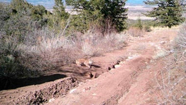 Camper-submitted photo at Permaculture Paradise: Homestead near Fruitland, UT