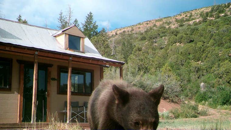 Camper-submitted photo at Permaculture Paradise: Homestead near Fruitland, UT