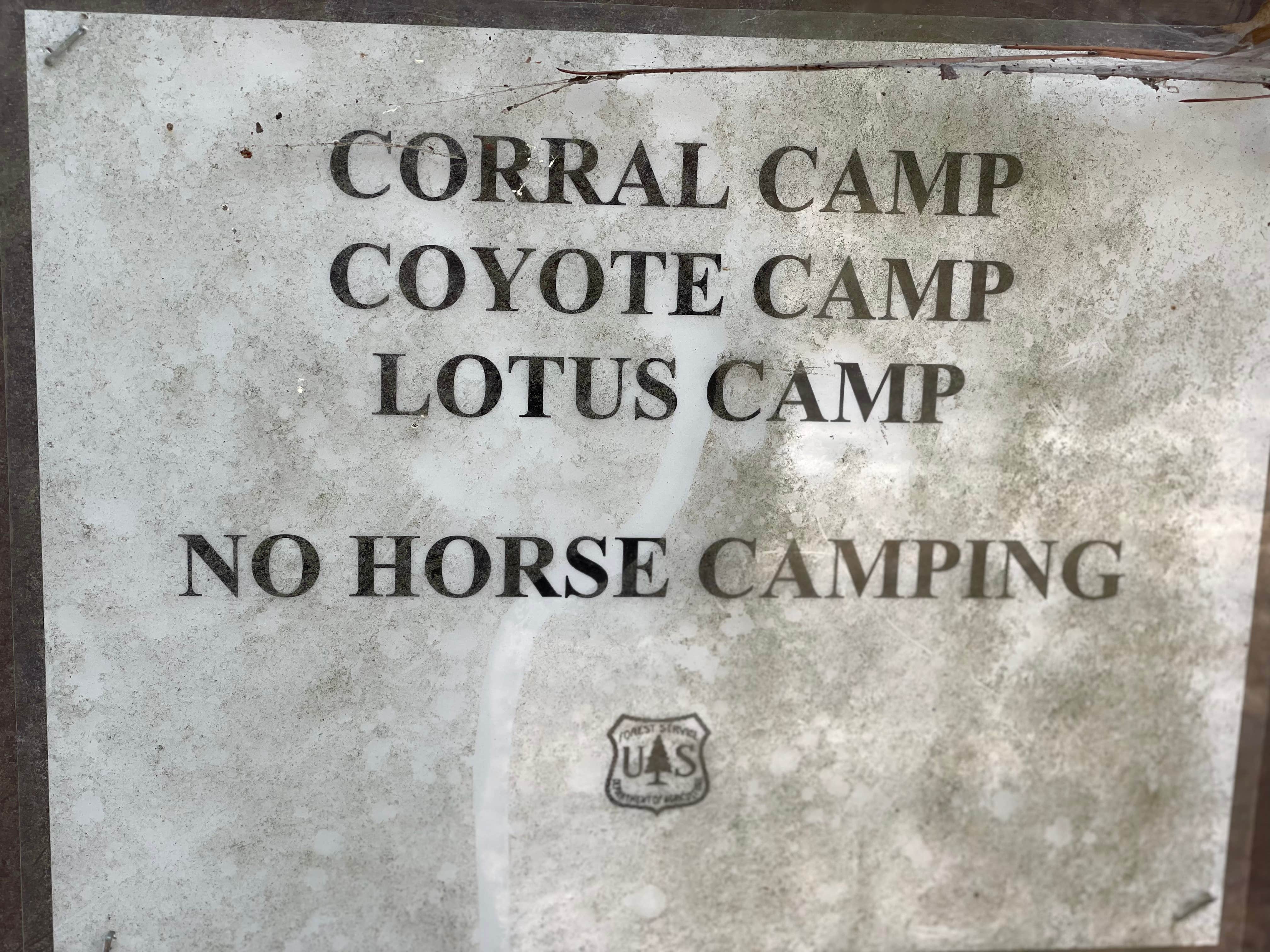 Camper submitted image from Coyote Camp - 4