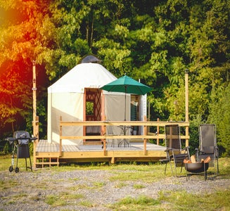 Camper-submitted photo from Roan Mountain Glamping