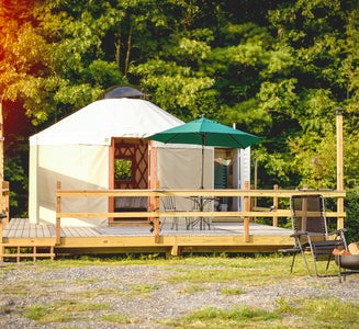Camper-submitted photo from Roan Mountain Glamping