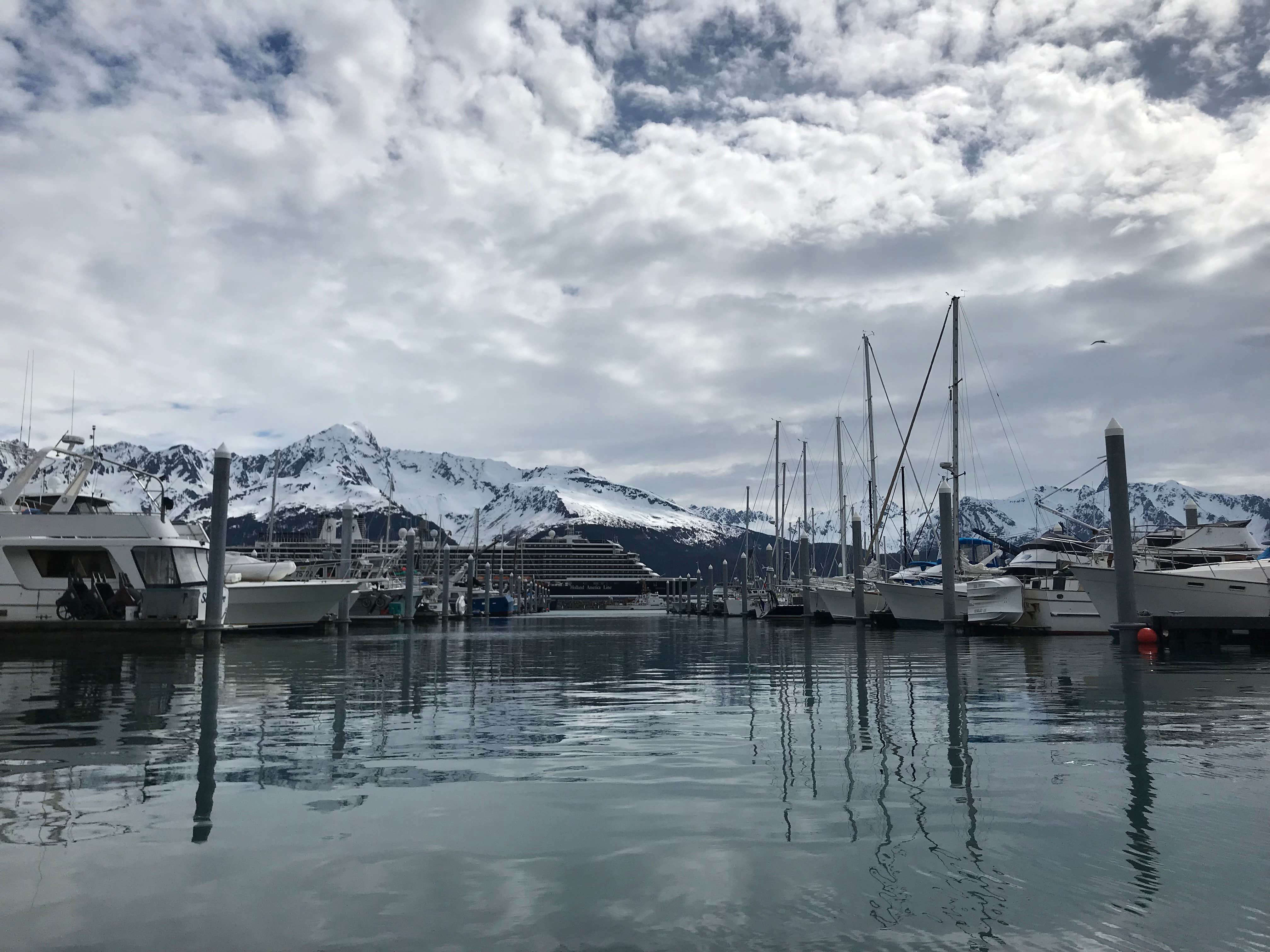 Camper submitted image from Seward City Campgrounds - 4