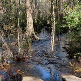 Review photo of Colt Creek State Park Campground by Lauren W., December 7, 2022