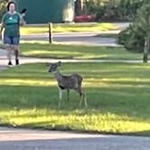 Review photo of Colt Creek State Park Campground by Lauren W., December 7, 2022