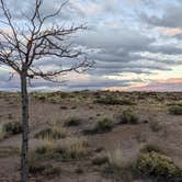 Review photo of Homolovi State Park Campground by Jeremy G., December 8, 2022